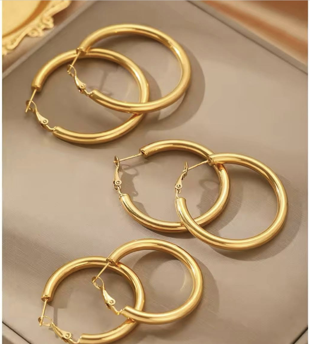 Earrings