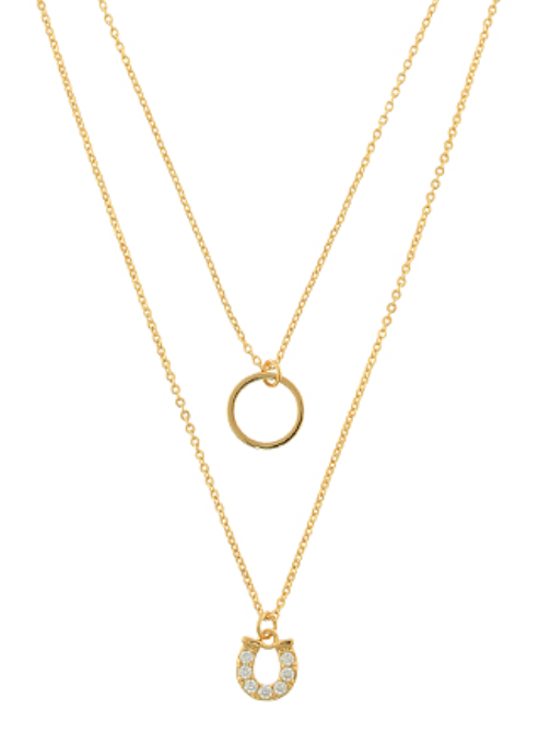 Horseshoe & Circle Pendant Dual Necklace